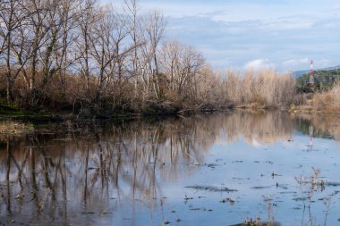 Güzel göl manzarası