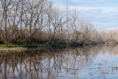 Doğanın güzel manzarası