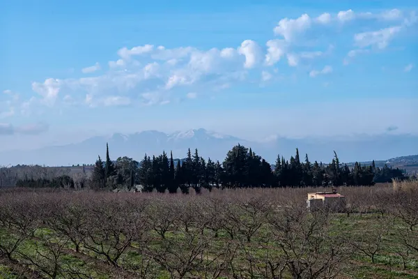 İtalya 'nın kırsal ve tarlalarının güzel manzarası