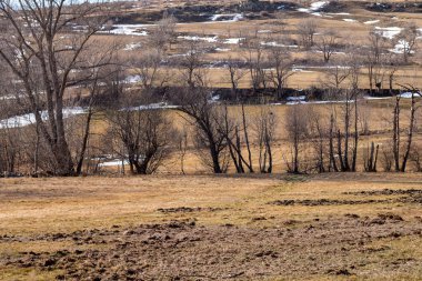 Kar ve ağaçlarla dolu güzel kış manzarası