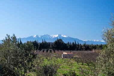 İlkbaharda Sicilya 'dan etna dağının manzarası
