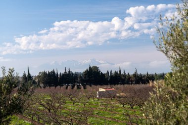 Doğanın güzel manzarası.
