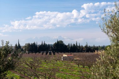 İsrail 'in kuzeyindeki kırsal bölgenin manzarası