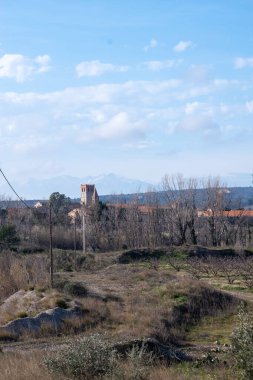 Arkasında ahşap bir kule olan güzel bir manzaranın dikey görüntüsü.
