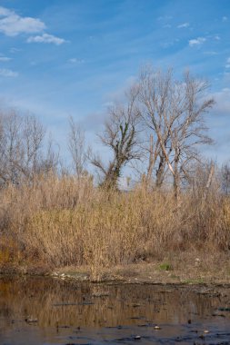 Doğal manzaranın güzel manzarası