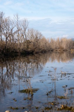 Parkta güzel bir göl manzarası