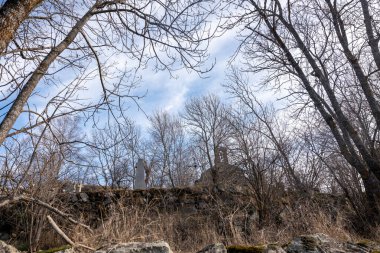 Ağaçları olan terk edilmiş eski bir bina.