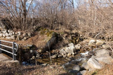 Ormanda küçük bir dere.