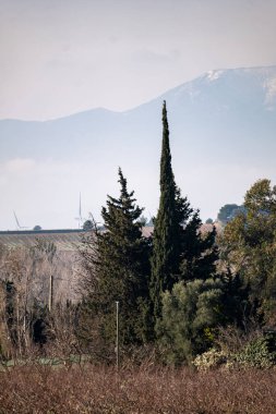 İspanya 'nın Malaga eyaletindeki Monchios köyüne bir manzara. Tarlaları ve ağaçları olan bir manzara. bulutlu gökyüzü