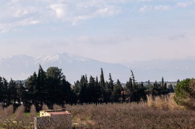 İsrail 'in kuzeyindeki bir dağ köyünün manzarası
