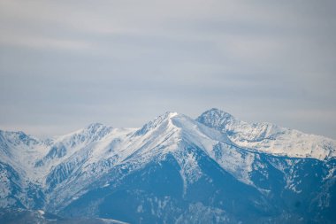 Karla kaplı ağaçlarla kaplı güzel kış manzarası