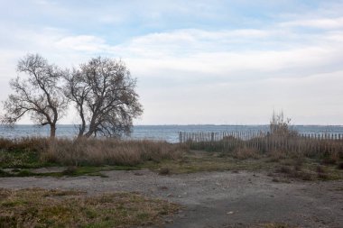 Alman Baltık Denizi'ndeki Rügen Adası