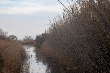 Arkasında bir göl olan güzel bir manzara.