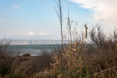 Kırım adasındaki deniz ve dağların manzarası. Karadeniz kıyısı.