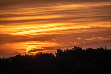 Güneş ve ağaçların gölgeleriyle gün batımı