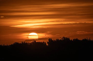 Ormanda güzel bir gün batımı