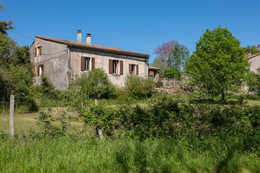 tipik yeşil bitkileri olan ev