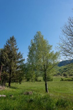 Dağlarda dağları olan güzel bir manzara.