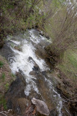 İlkbaharda ormanda şelale