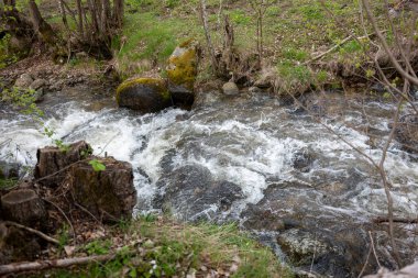 Ormanda küçük bir şelale.