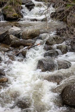 Ormanda akan bir derenin dikey görüntüsü.