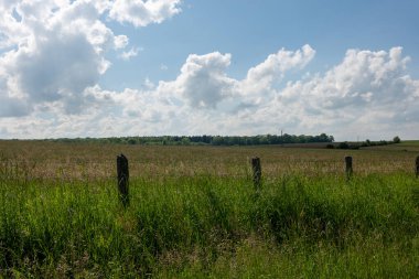 Ağaçlar ve mavi gökyüzü olan güzel bir manzara.