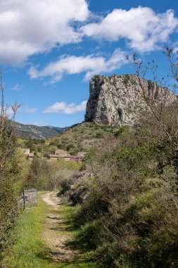 Gökyüzü açık, dağdaki yeşil bir ormanın güzel manzarası.