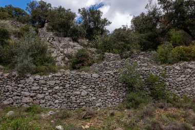 Kırsal alanda taş duvar.