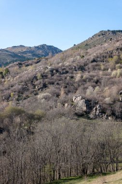 Eski Roma şehri Cuenca 'nın kalıntıları.