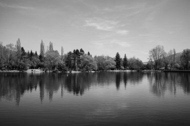Ağaçları ve ağaçları olan güzel bir göl.