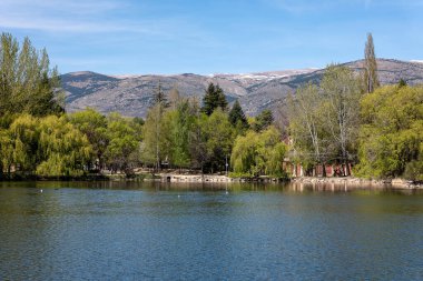 Ağaçlarla dolu göl ve gölet