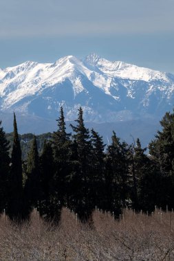 Kar - kışın tepeli dağlar. yüksek kaliteli fotoğraf