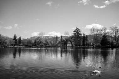 Siyah beyaz ağaçlarla çevrili güzel bir göl manzarası.