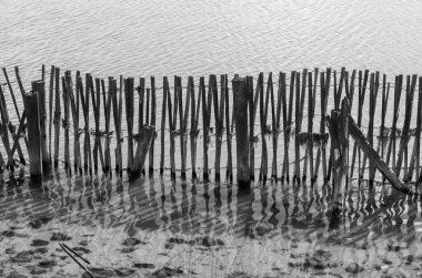 bir göl üzerinde ahşap iskele