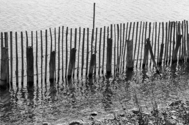 Sahildeki eski ahşap çit