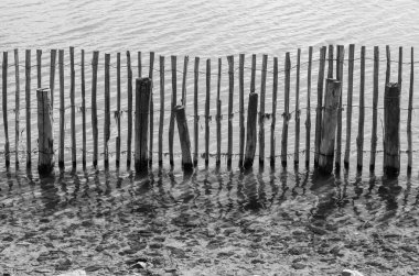 siyah ve beyaz resim