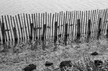 Tahta bir köprünün siyah beyaz arka planı