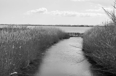 Kuzey denizindeki juist adası.
