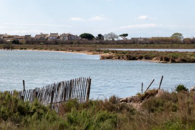 Ebro, tarragona, katalonya ve İspanya 'daki göl manzarası. metin için boşluk kopyala.