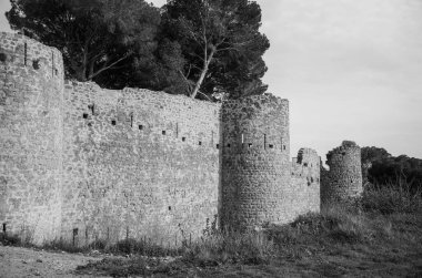 Siyah-beyaz kırsalda bir ortaçağ şatosunun kalıntıları..