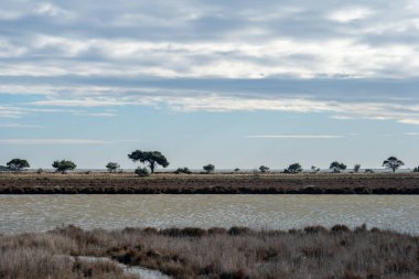 Nehir ve gölü olan güzel bir manzara.