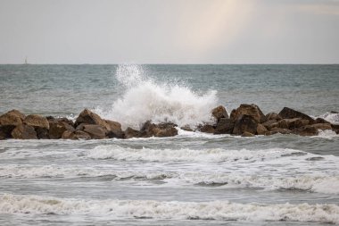 Sahilde deniz dalgaları