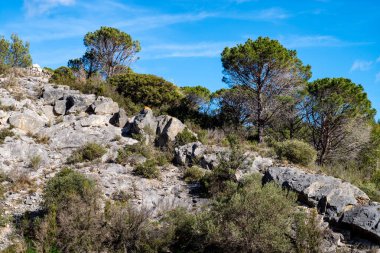 İspanya 'daki kayalık dağlar.