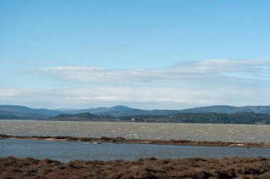 Arkasında bir nehir olan güzel bir manzaranın manzarası.