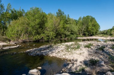 İlkbaharın başlarında ormanın kıyısında taşları ve yeşil ağaçları olan bir nehir..