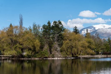 Dağ gölünün önündeki ağaçlarla çevrili bir gölün dikey görüntüsü.