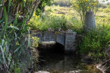 Eski köprüsü ve yeşil otları olan küçük bir nehir.
