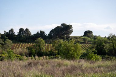 Dağların güzel manzarası
