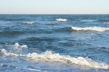 Sahilde deniz dalgaları