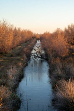 Ormandaki nehrin güzel bir görüntüsü